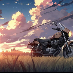Lets Go on a Bike Trip