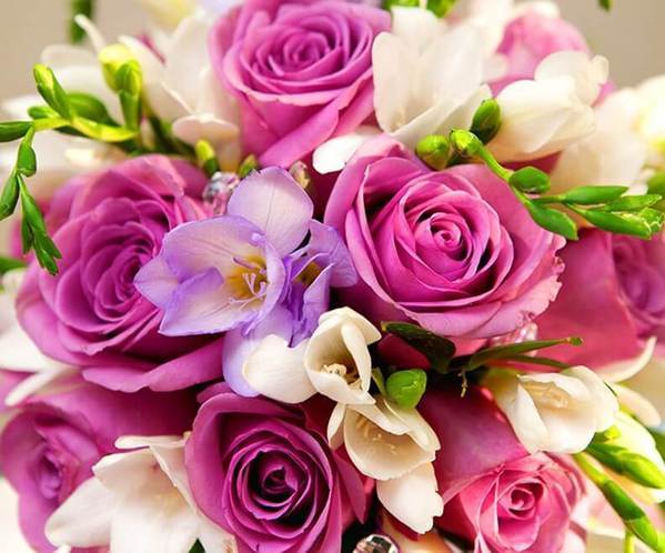  Flowers Paint by Diamonds