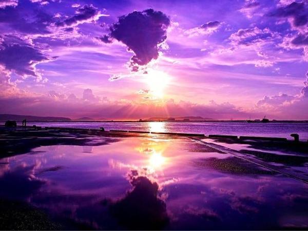  Nature Diamond Paintings