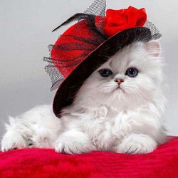 Cat Princess Diamond Painting