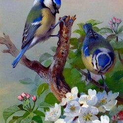 Adorable Birds Pair Diamond Painting
