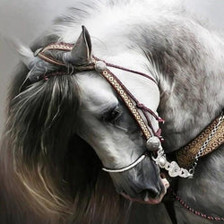 Adorable Horse Paint by Diamonds