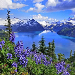Amazing Mountains View & Blue Flowers Diamond Painting