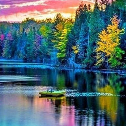 Amazing Nature Paint by Diamonds