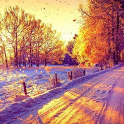 Amazing Snowy Street Diamond Painting