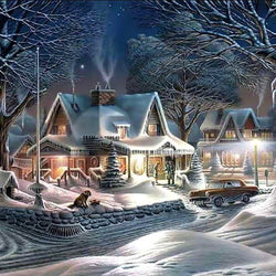 Amazing Winter Night & Snow Diamond Painting