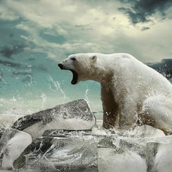 Angry Polar Bear Paint by Diamonds