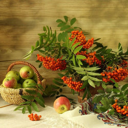 Apple & Rowan- Painting with Diamond