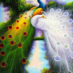 Attractive Peacocks Paint by Diamonds