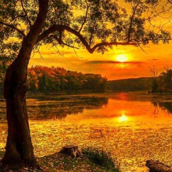 Autumn Evening & Setting Sun Diamond Painting