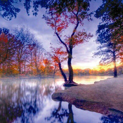 Nature View Diamond Painting