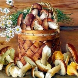 Basket of Mashrooms Diamond Painting