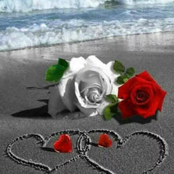 Beach Roses Paint by Diamonds