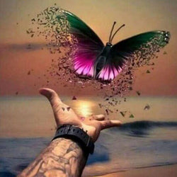 Butterfly Square Drill Painting