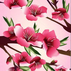 Beautiful Cherry Blossoms Paint by Diamonds
