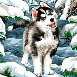 Beautiful Husky Diamond Painting Kit