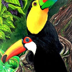 Toucan Pair Diamond Painting