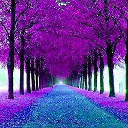 Pathway Diamond Painting Kit