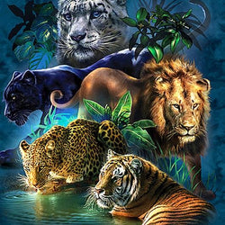 Best Square Drill Painting Kit