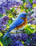 Bird Sitting in Lavender Paint by Diamonds