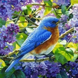 Bird Sitting in Lavender Paint by Diamonds
