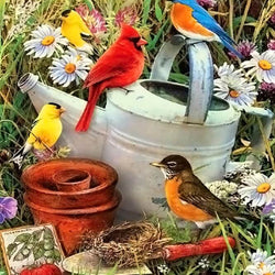 Birds Diamond Painting