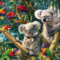 Koala Bears Diamond Painting