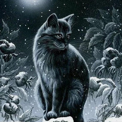 Black Cat Diamond Painting Kit