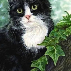 Black Cat on Tree Diamond Painting