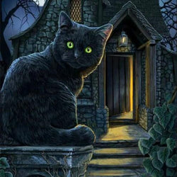 Black Cat with Green Eyes Paint by Diamonds