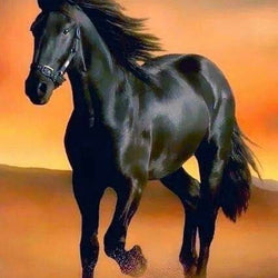 Black Horse Painting with Diamond