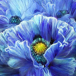 Blue Poppy Diamond Painting Kit