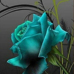 Rose Diamond Painting Kit