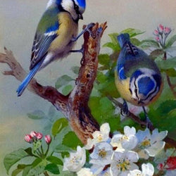 Blue Sparrows & White Flowers Diamond Painting
