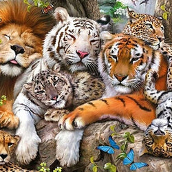 Big Cats Paint by Diamonds