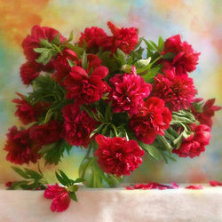 Bright Red Peonies in a Vase Diamond Painting