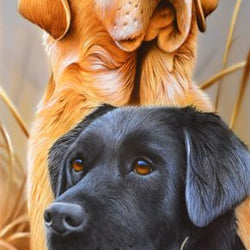 Brown & black Dog Diamond Painting