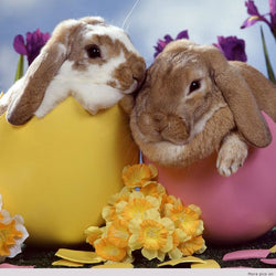 Bunnies in Easter Eggs Diamond Painting