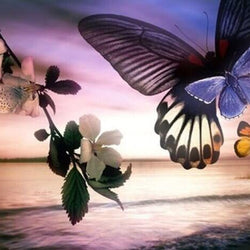 Butterflies Paint by Diamonds