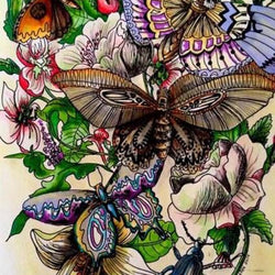 Butterfly Art Diamond Painting