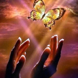 Butterfly Paint by Diamonds