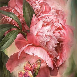 Butterfly & Peonies Paint by Diamonds