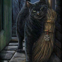 Cat DIY Diamond Painting Kit