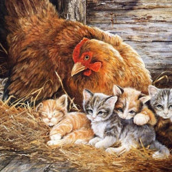 Chicken Full Drill Painting