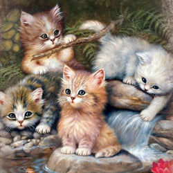Cats Square Drill Painting Kit