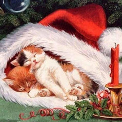 Cats Sleeping in Christmas Hat Diamond Painting