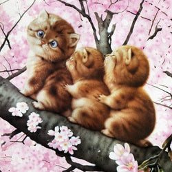 cats DIY Painting
