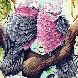 Cockatiel Pair Paint by Diamonds