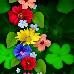 Colorful Flowers Beauty Diamond ainting