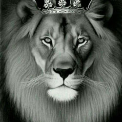 Lion Diamond Painting Kit